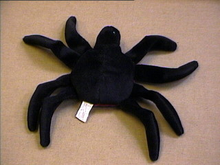 web1