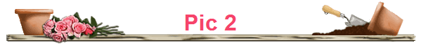 Pic 2