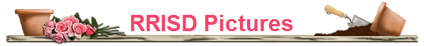 RRISD Pictures