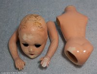 awjester_20121030_6580_web_8